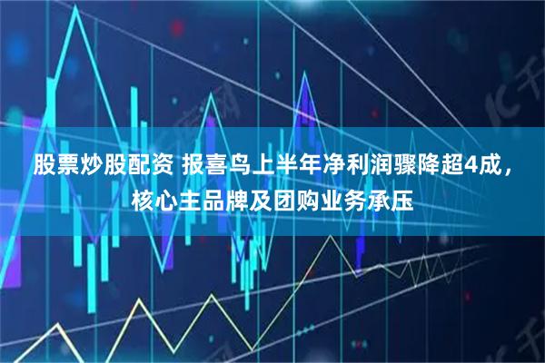 股票炒股配资 报喜鸟上半年净利润骤降超4成，核心主品牌及团购业务承压