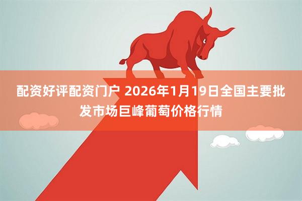 配资好评配资门户 2026年1月19日全国主要批发市场巨峰葡萄价格行情