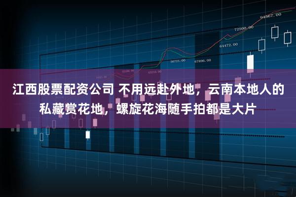 江西股票配资公司 不用远赴外地，云南本地人的私藏赏花地，螺旋花海随手拍都是大片